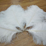 The feather fan is a special prop for the dance performance of the ostrich-colored feather fan used by the palace film crew pic 7