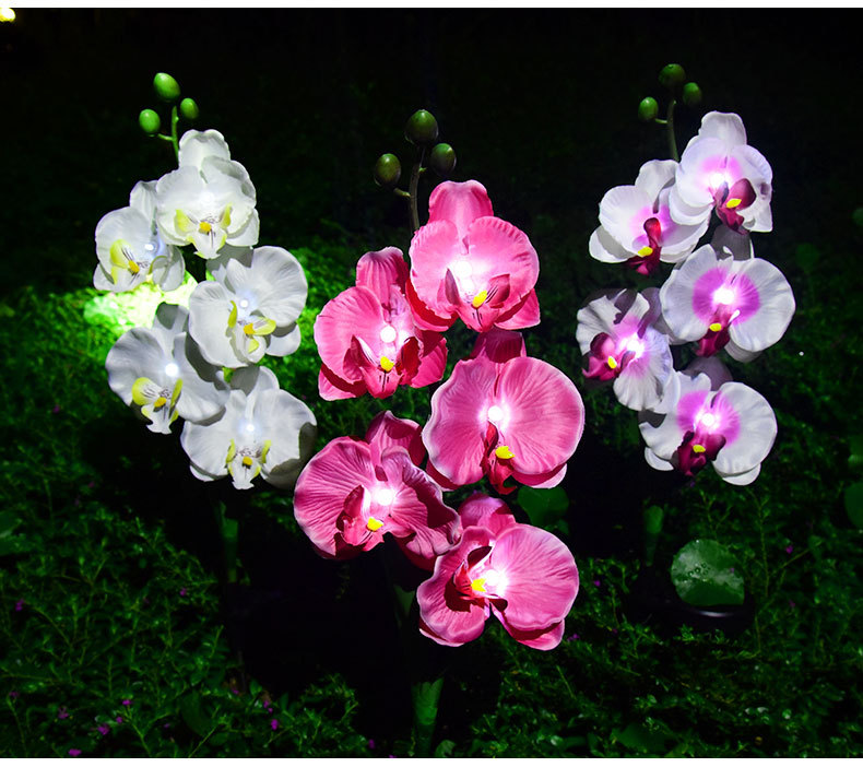 Cross-border solar lamps, simulated flower Phalaenopsis, ground insert lamps, outdoor courtyard lamps, landscape, festival and garden decorations pic 21