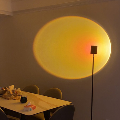 【厂家直销】现代简约客厅酒店卧室不锈钢落地灯大中小号钓鱼灯饰详情4