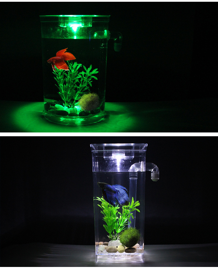 Lazy fish tank landscape ecological bottle, small mini fish tank, Office desktop fish tank, golden fish tank, creative ornamental tank pic 54