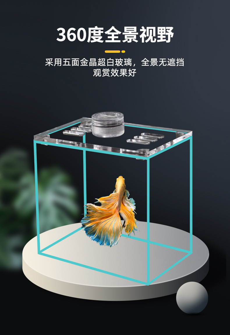 The manufacturer supplies Thai betta fish display fish tanks, golden crystal ultra-white glass small fish tanks, tabletop small fish tanks and betta fish tanks pic 4