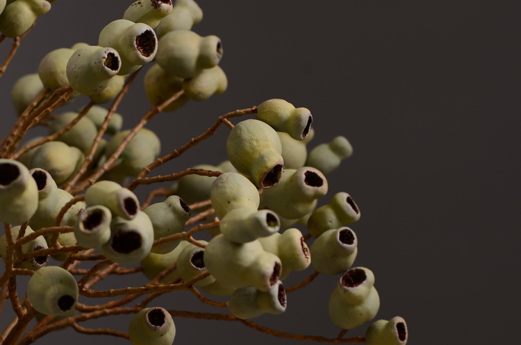 Dongli Flower Industry, the original manufacturer, is now wholeselling vintage decorative pipe fruit artificial flowers, artificial flowers, table flowers, artificial berries, zombie fruits, eucalyptus fruits, and offers one-piece consignment pic 19