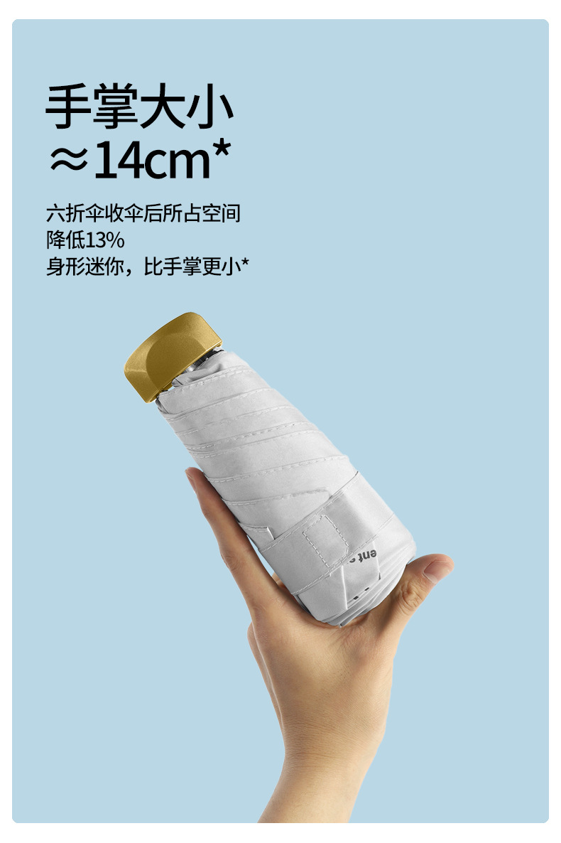 扁伞_03