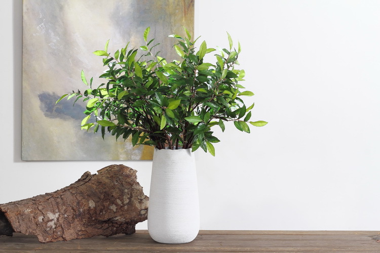 Dongli Factory direct sales, wholesale of olive leaf branches, artificial leaves, artificial leaves, Ins-style interior decoration, flower arrangement plants, wall accessories, artificial green plants pic 7