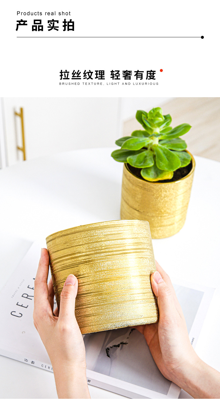 Chinagoods Du Qi Hotel supplies: European-style simple and creative ceramic brushed, gold-plated and silver succulent combination export flower POTS, handicrafts and flower vases pic 4