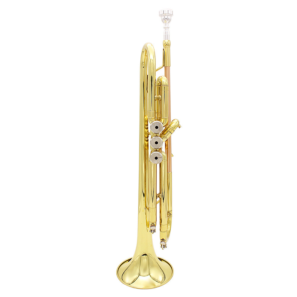 SLADE trompeta en si bemol importado latón cuerpo tubo fósforo cobre color principiante práctica banda tocando trompeta trompeta wholesale pic 9