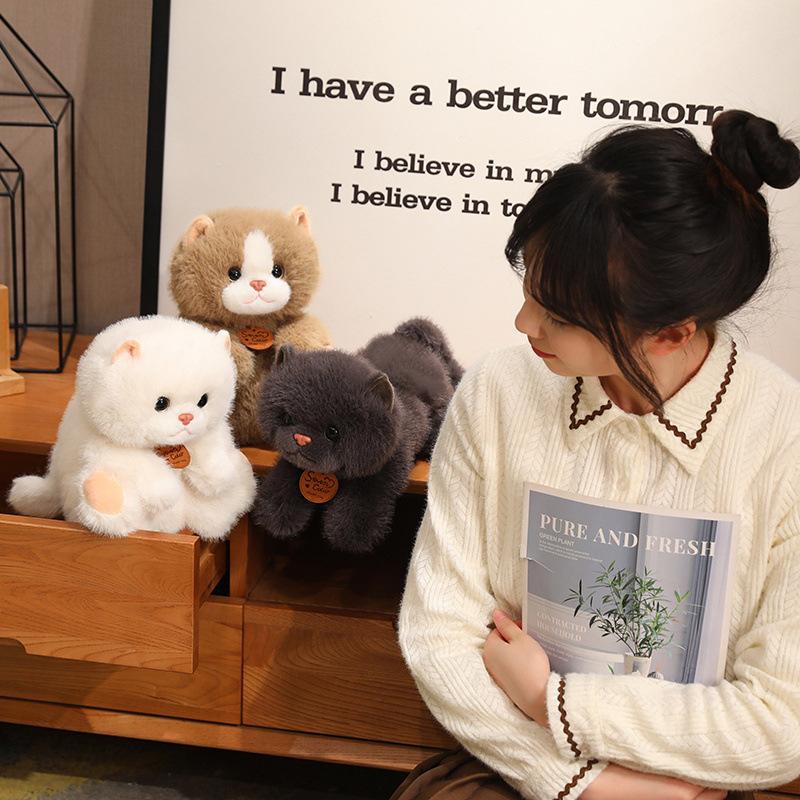 Cute and lazy kitten dolls, simulated cat plush toys, children's soothing cloth dolls, cloth dolls for girls wholesale details Picture