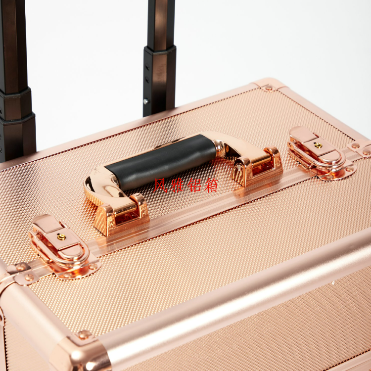 Profesional maquillaje pullstick caja polea con ocho luces LED altavoz bluetooth balance rack recargable Application Scenario
