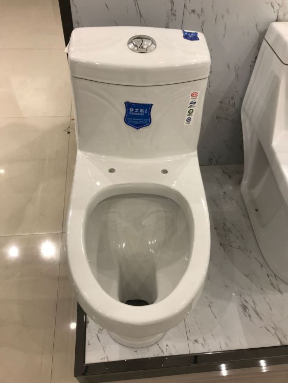 普通马桶实物图