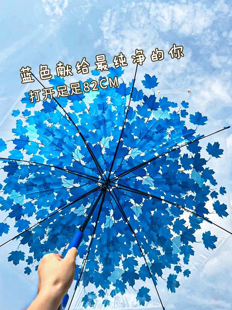 雨伞实物图