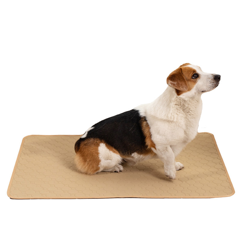 Pet urinators, reusable absorbent dog urinators, training dog diapers, waterproof washable diapers, dog, rabbit and cat diapers Application Scenario