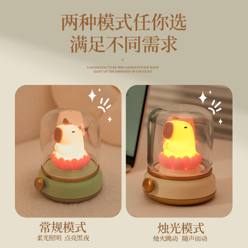 Good Luck Lotus Water Dolphin Lamp, creative USB charging, timed night light, led children's bedroom bedside ambient light details Picture