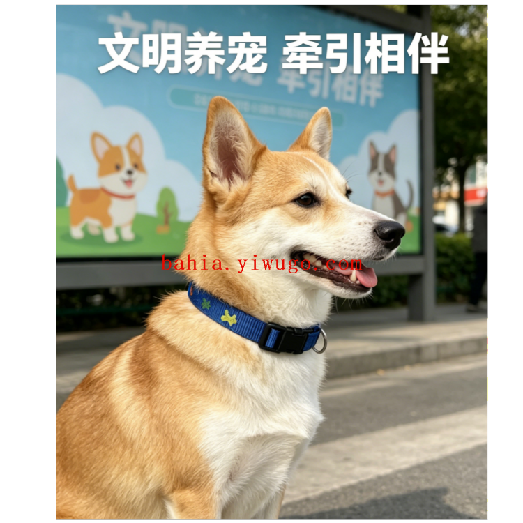 狗绳/宠物用品/宠物/牵引绳/狗狗胸背带白底实物图