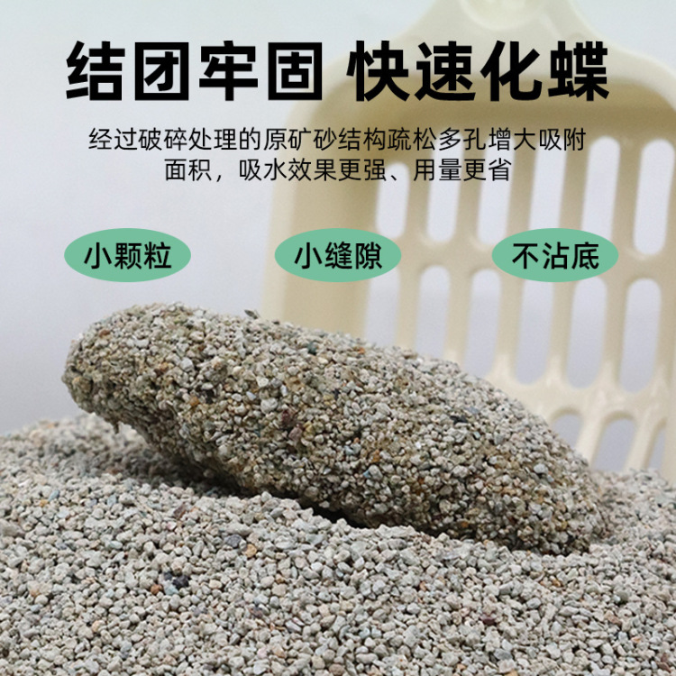猫砂实物图