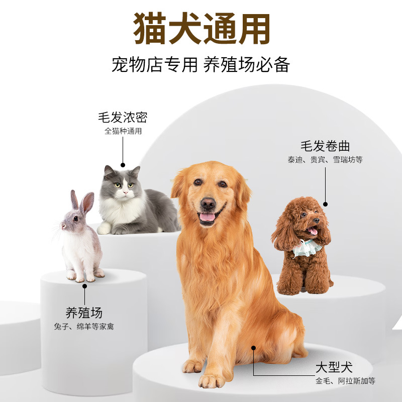High-power integrated pet hair clipper, cat electric hair clipper, two-in-one dog electric hair clipper details Picture