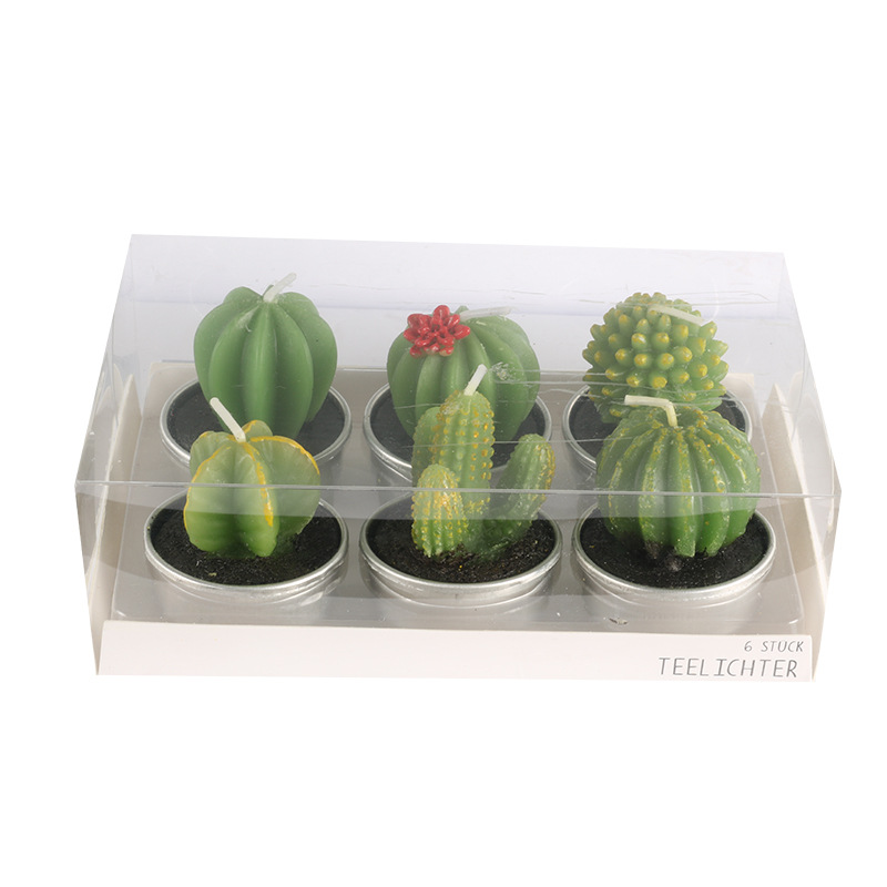 Cross-border modern art paraffin core smokeless candle confession, simulated succulent plant paraffin semi-handmade candle set Application Scenario