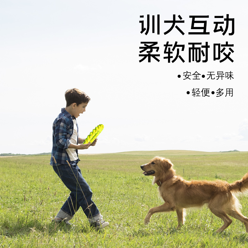 糖果零食/糖果/儿童糖果零食产品图