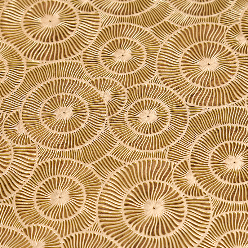 跨境法式浪漫圆形PVC餐垫创意咖啡隔热垫高级感轻奢餐厅隔热防水详情8