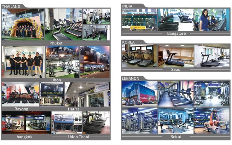 Shuhua Enterprise and Public Institution Gym Strength Personal Trainer Level Up and Down Inclined Push Chair Training Equipment SH-G6873 pic 17