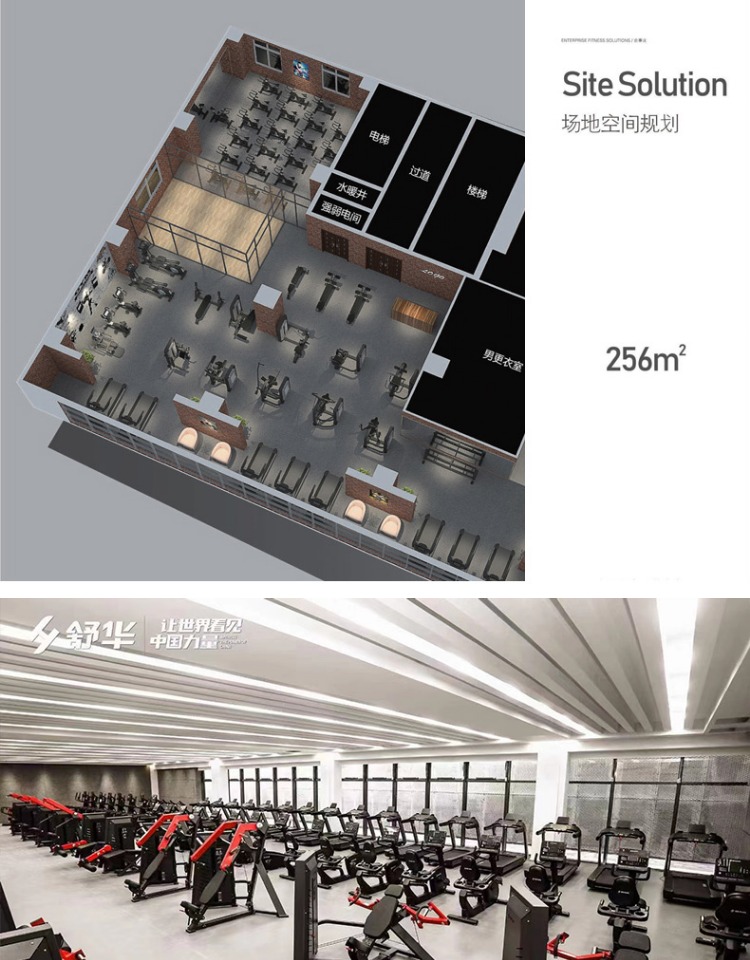 Shuhua Gym strength training Equipment: Adjustable dumbbell bench 6855 and bench press SH-G6857 pic 8