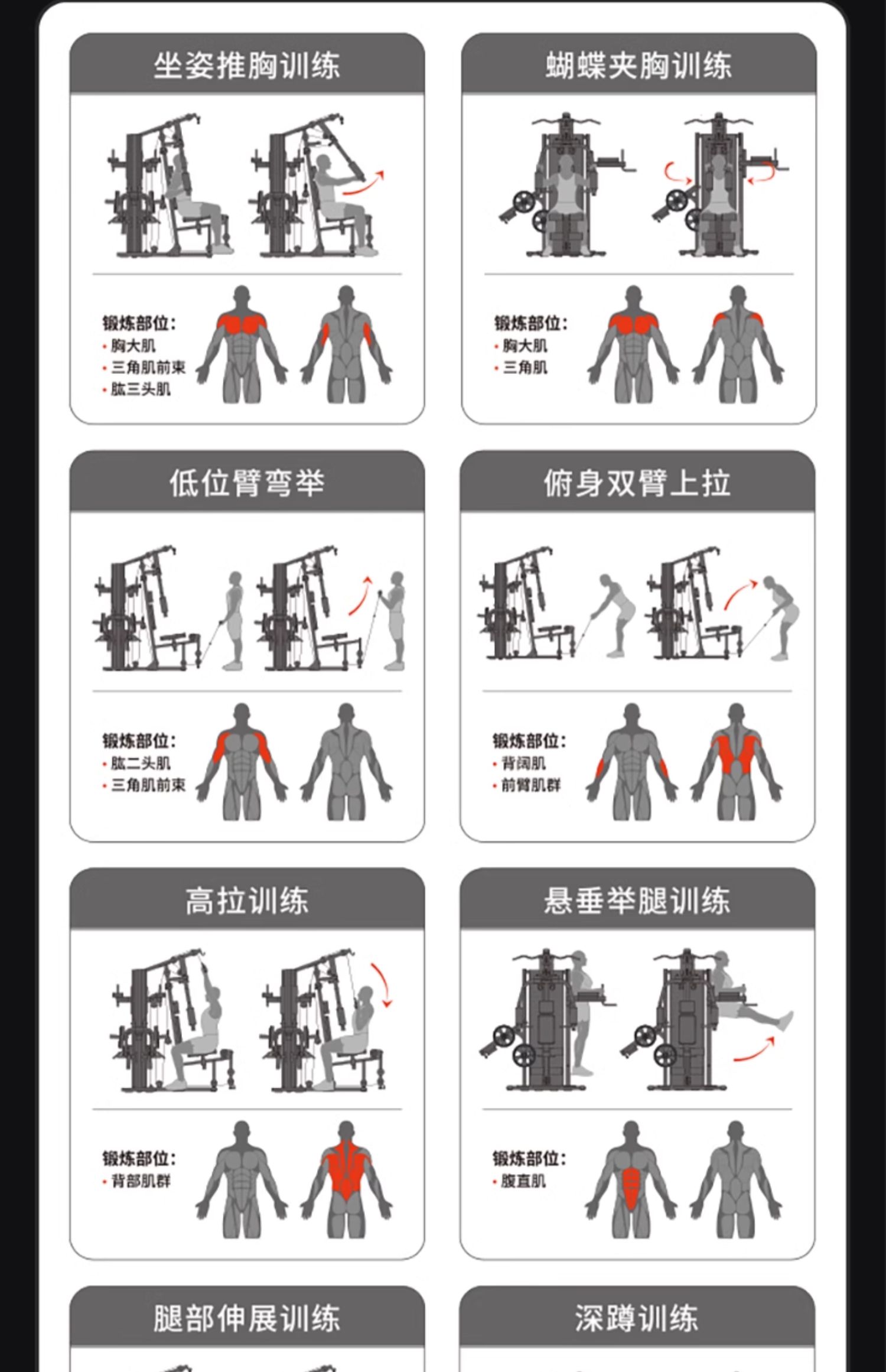 Shuhua SH-G5203 high-end indoor gym three-person station comprehensive strength training equipment pic 13