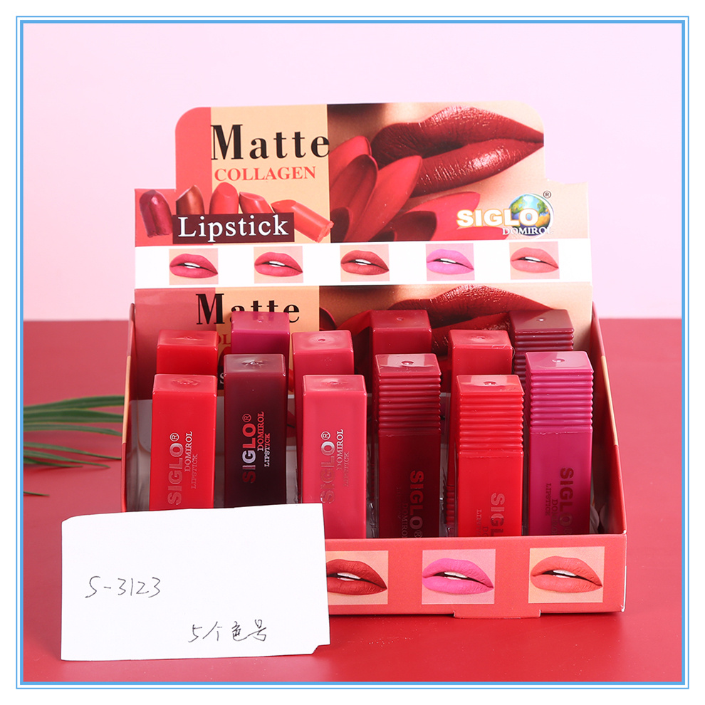Matte lipstick is easy to apply. Lipstick and lip makeup are moisturizing and natural. 5 colors of nude makeup are available. Factory direct sales pic 3