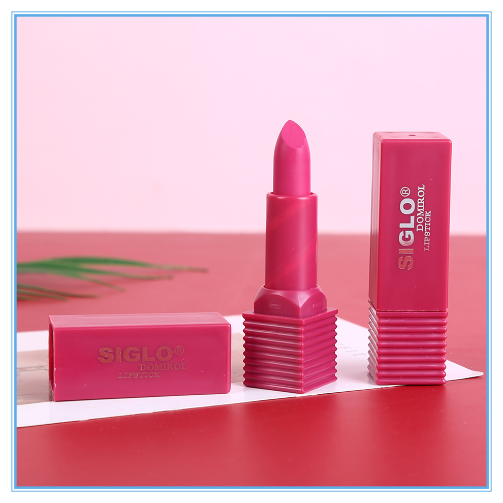 Matte lipstick is easy to apply. Lipstick and lip makeup are moisturizing and natural. 5 colors of nude makeup are available. Factory direct sales pic 5