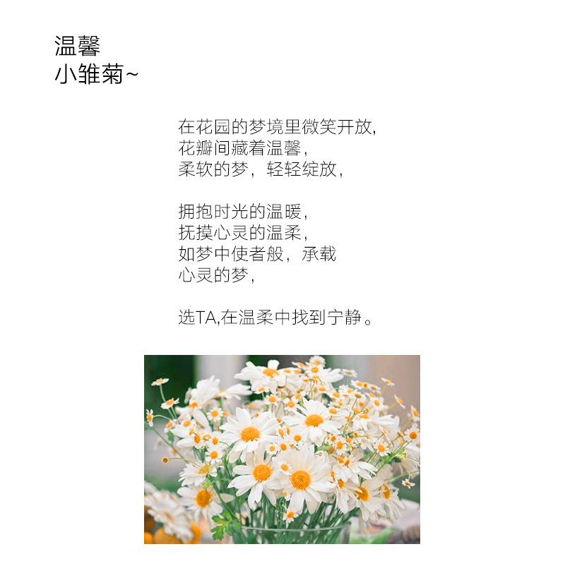 新品小雏菊抱枕少女心ins田园风家居沙发抱枕床头靠垫办公室腰垫详情1