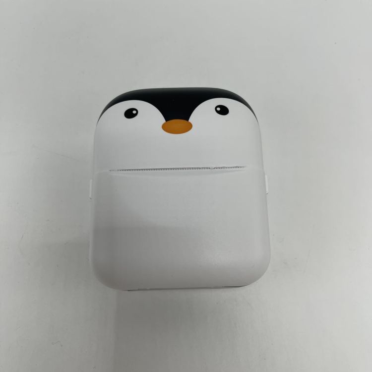 Error printer label, mini portable thermal printer, pocket photo, student question search, Bluetooth printer Specification image