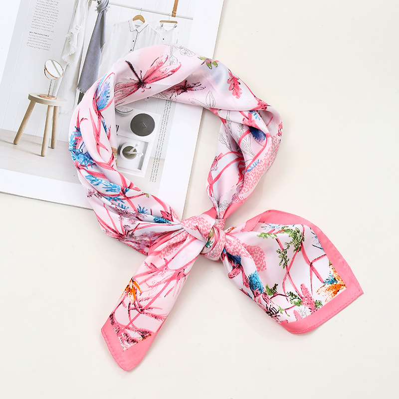 import白底实物图