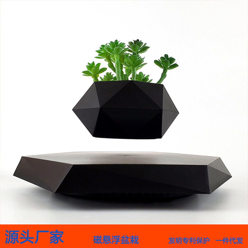 Cross-border magnetic levitation potted flower POTS, aerial creative bonsai plants and flowers, unique Ins-style home and office ornaments Application Scenario