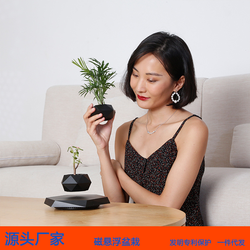 Cross-border magnetic levitation potted flower POTS, aerial creative bonsai plants and flowers, unique Ins-style home and office ornaments