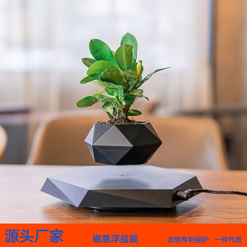 Cross-border magnetic levitation potted flower POTS, aerial creative bonsai plants and flowers, unique Ins-style home and office ornaments details Picture