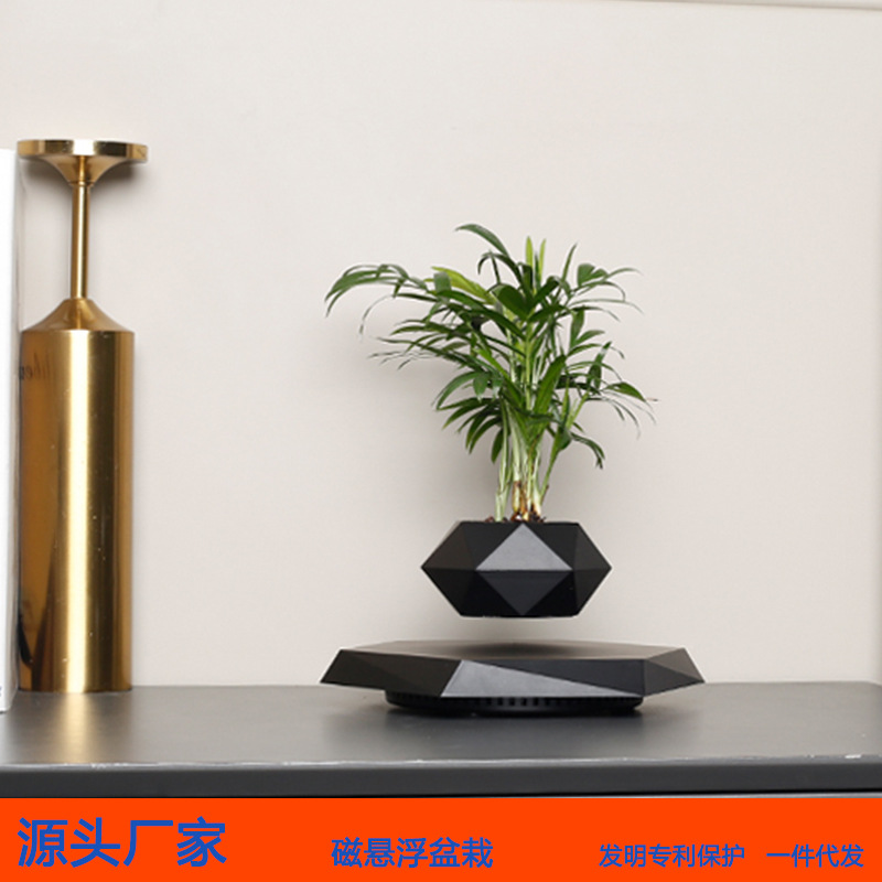Cross-border magnetic levitation potted flower POTS, aerial creative bonsai plants and flowers, unique Ins-style home and office ornaments Specification image