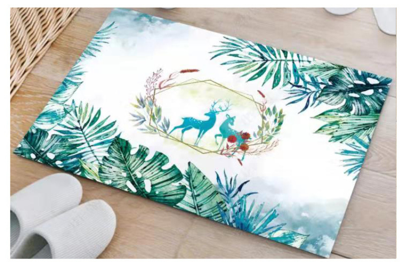 European-style fashionable entrance door MATS, bedroom door MATS, kitchen floor MATS, bathroom absorbent floor MATS, anti-slip MATS, and toilet oil-proof MATS pic 1