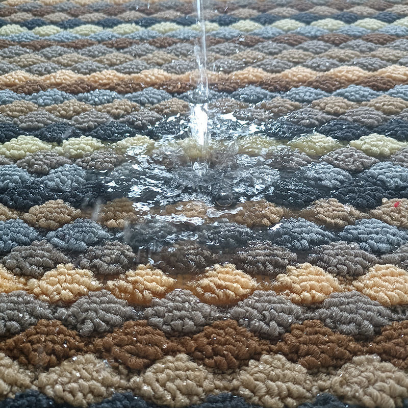 Velvet carpet floor mat, anti-slip mat, absorbent thickened floor mat, entrance floor mat, entrance door mat details Picture