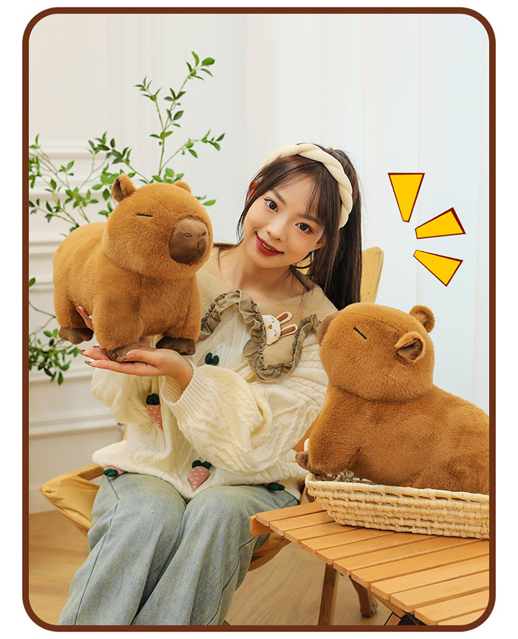 代发趴款卡皮巴拉毛绒玩具玩偶网红水豚抱枕卡皮巴拉公仔生日礼物详情13