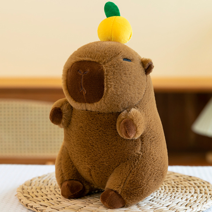 import白底实物图