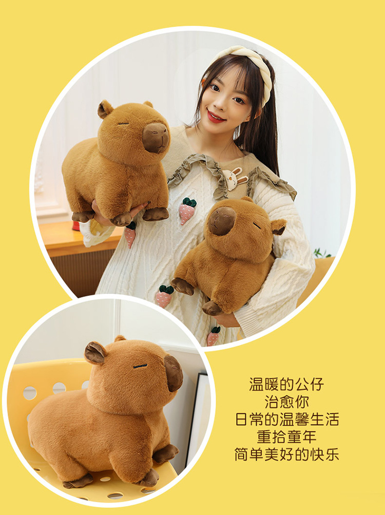 代发趴款卡皮巴拉毛绒玩具玩偶网红水豚抱枕卡皮巴拉公仔生日礼物详情2