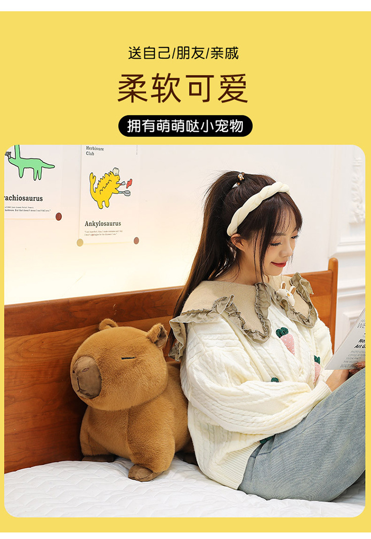 代发趴款卡皮巴拉毛绒玩具玩偶网红水豚抱枕卡皮巴拉公仔生日礼物详情17