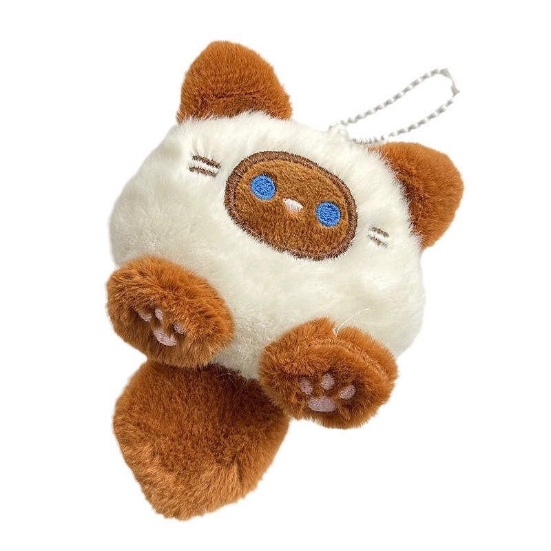 其他分类实物图