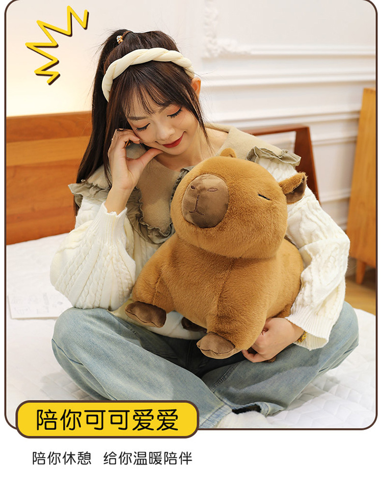 代发趴款卡皮巴拉毛绒玩具玩偶网红水豚抱枕卡皮巴拉公仔生日礼物详情5