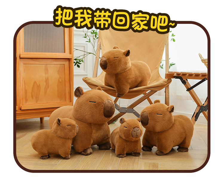 代发趴款卡皮巴拉毛绒玩具玩偶网红水豚抱枕卡皮巴拉公仔生日礼物详情24