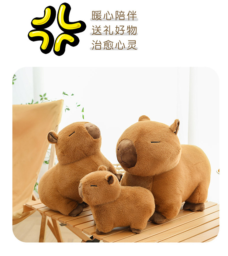 代发趴款卡皮巴拉毛绒玩具玩偶网红水豚抱枕卡皮巴拉公仔生日礼物详情19