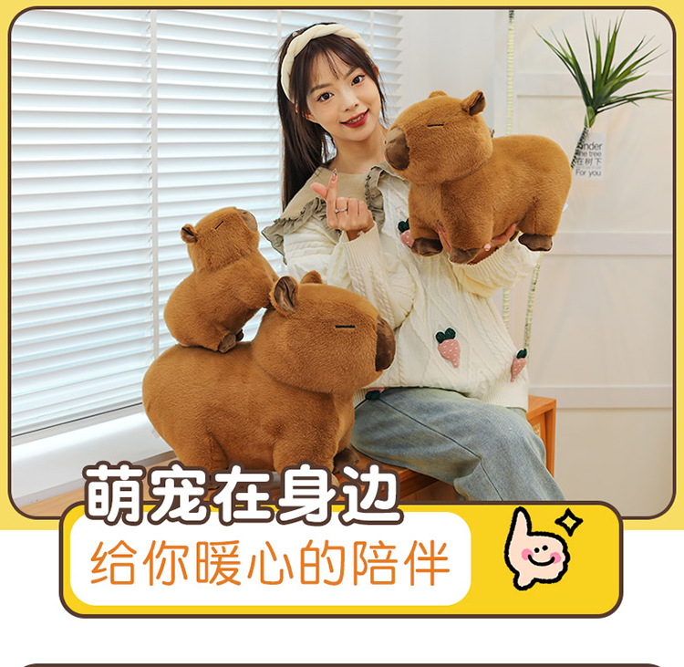 代发趴款卡皮巴拉毛绒玩具玩偶网红水豚抱枕卡皮巴拉公仔生日礼物详情4