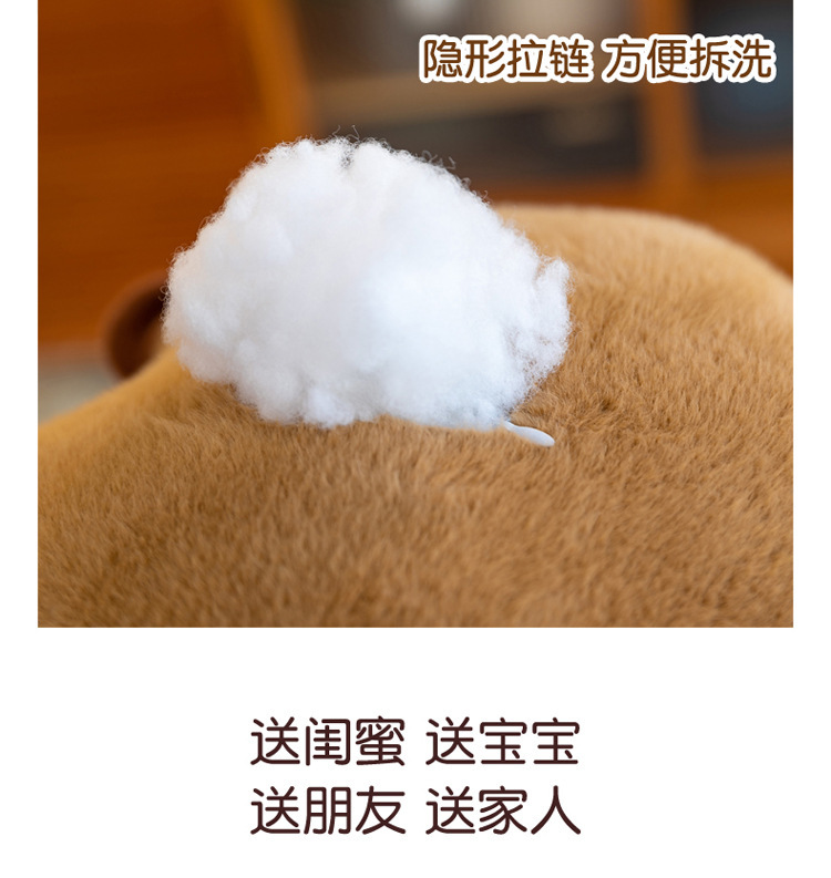 网红卡皮巴拉水豚公仔毛绒玩具呆萌背包豚鼠玩偶儿童玩具生日礼物详情11
