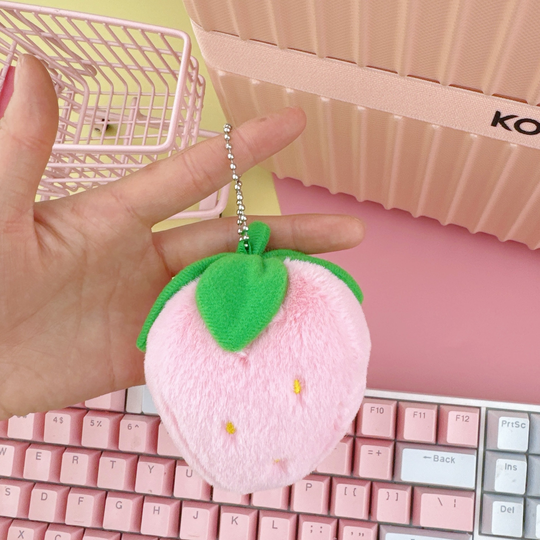 import白底实物图