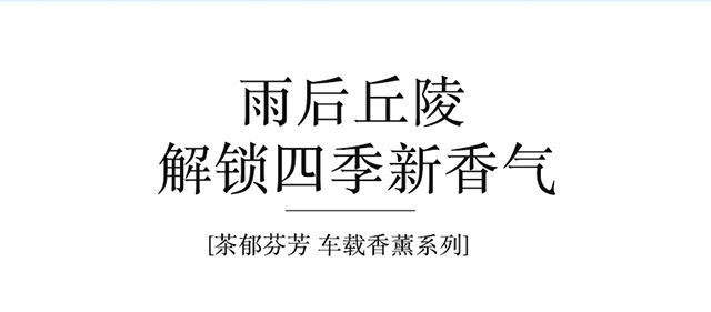 国潮风山茶花车载香薰2025新款车用高档香水男女士专用汽车内持久留香氛详情20
