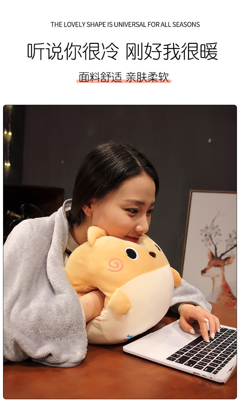 卡通抱枕被子两用办公室靠垫女生靠枕午睡毯子午休枕头神器三合一详情2