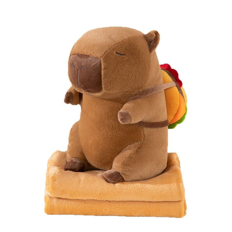 靠垫/抱枕/抱枕被实物图